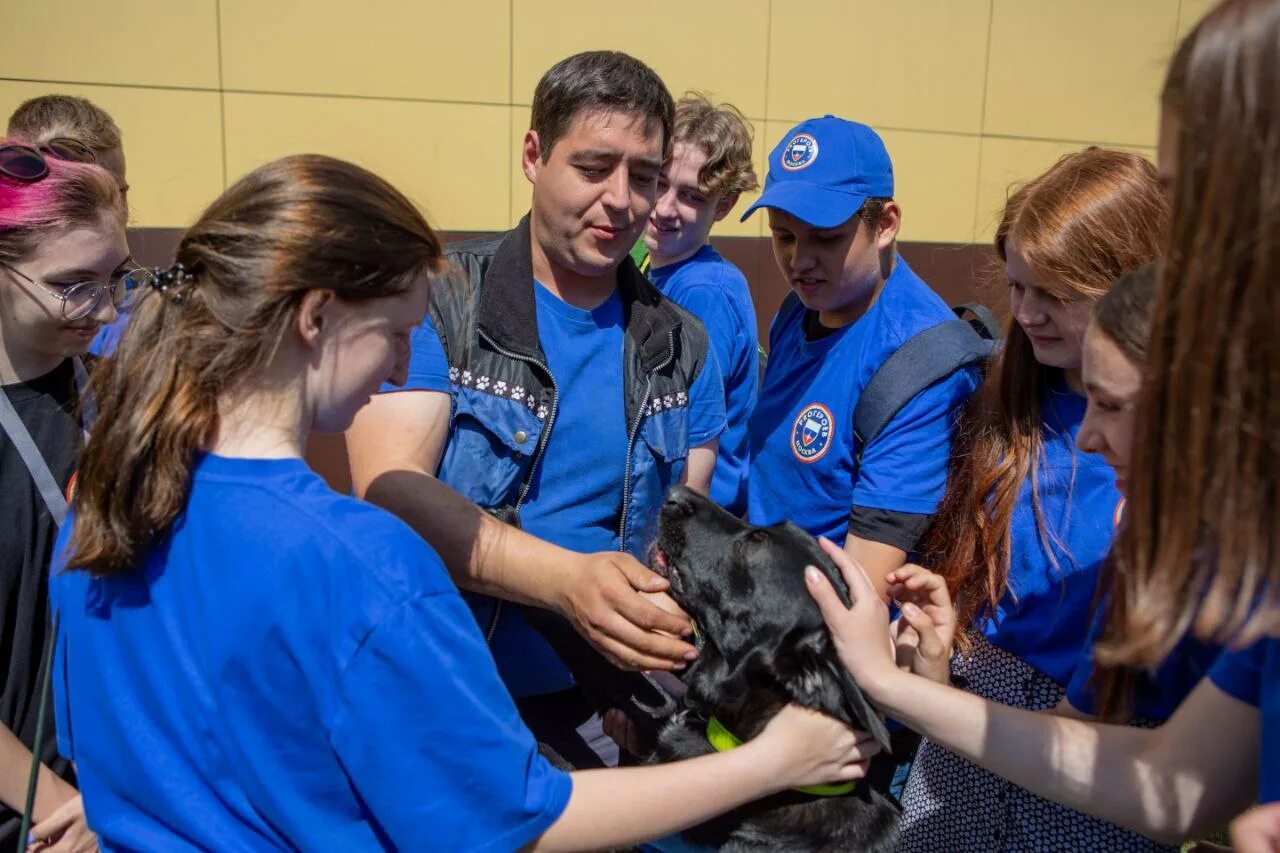 Как правильно провести собеседование с кандидатом на работу. Как проходит поиск. Вопросы по проведению собеседования. Методы отбора кандидатов. Интервью при принятии на работу.