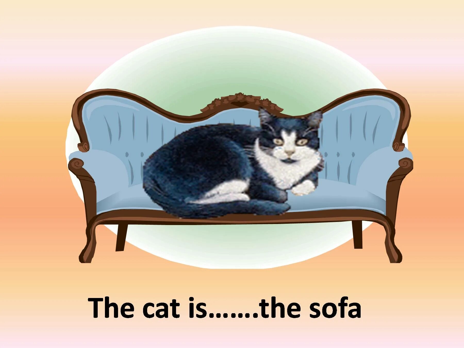 Cat on предлог. Предлоги в картинках. Cat is on the Sofa. Under картинка. 1 this is a cat