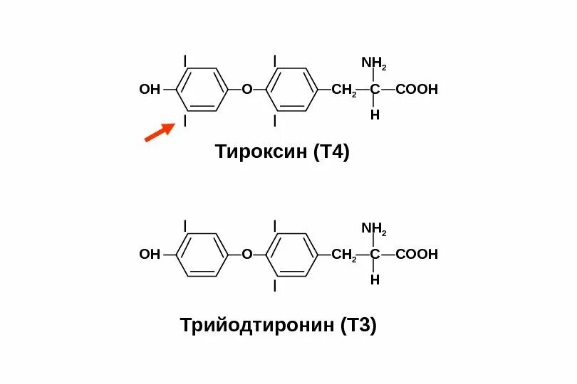 Тироксин и трийодтиронин формулы. Трийодтиронин химическое строение. Трийодтиронин химическая структура. Т3 и т4 гормоны формулы.