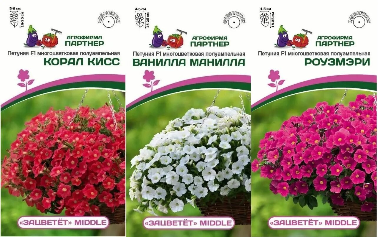 Петуния "зацветёт" long пинк лав f1 многоцветковая ампельная. Петуния корал кисс. Семена петунии агрофирмы партнер. Агрофирма партнер семена петуньи. Семена петунии партнер зацветет.