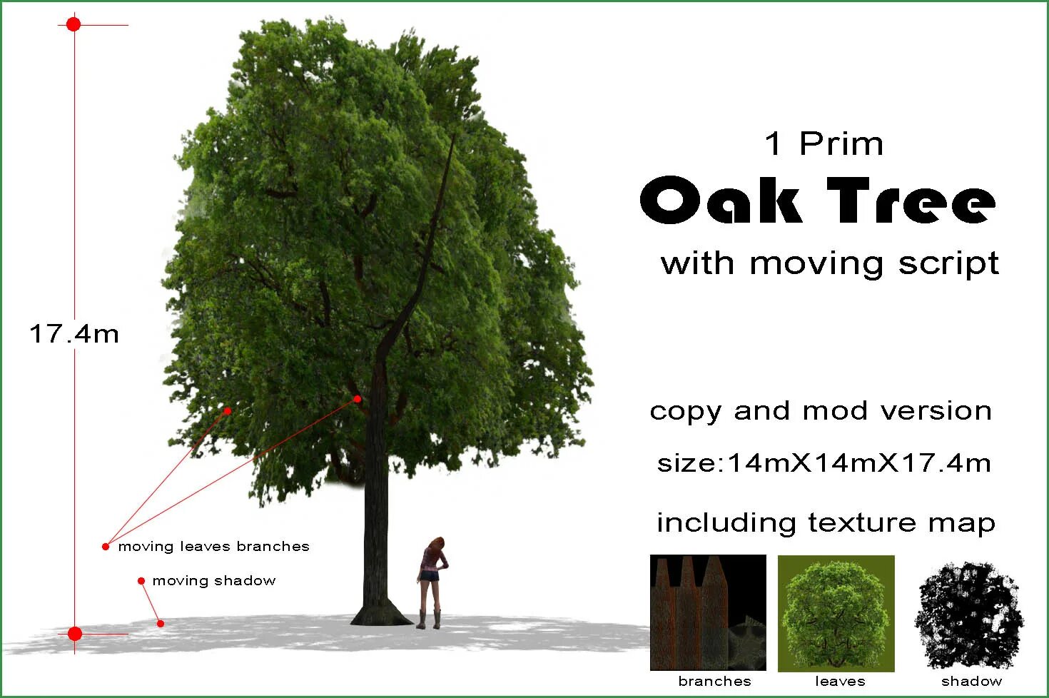 Дуб по английски. 100% дерево. текст trees for life. дерево дуб гост. wise oak tree id.
