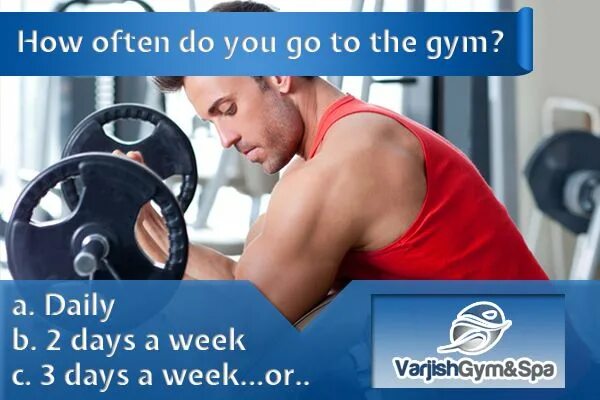 Gym перевод. Go to the Gym перевод. How often do you go to the Gym. How often you to the Gym.