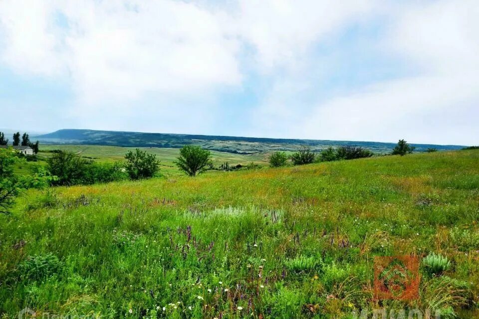 Село Казанки Бахчисарайский район. Бахчисарайский район село Казанки село Стрельникова. Малиновка (Бахчисарайский район). Нововасильевка Бахчисарайский район.