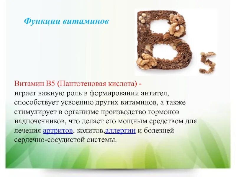 B функции в организме. Витамин б5 функции. витамин b5 пантотеновая кислота. витамин в5 функции в организме человека. витамин b5 функции.