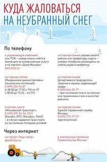 Куда пожаловаться на уборку