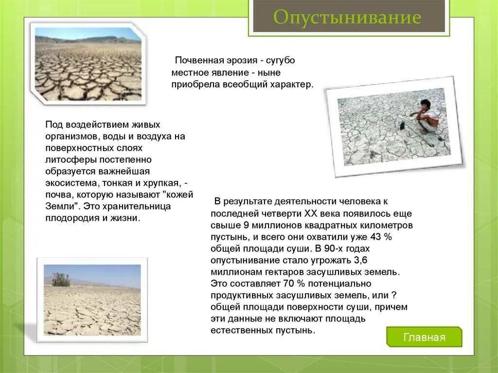Опустынивание является экологической проблемой. Опустынивание. опустынивание последствия и пути решения. опустынивание земель презентация.