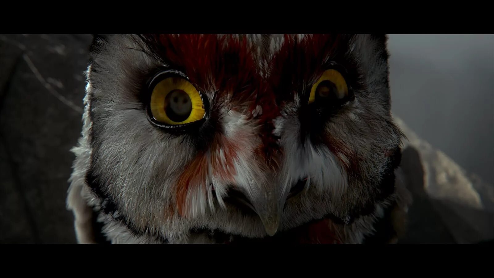 Ga hoole guardians the owls legend. Эзилриб легенды ночных стражей. Киэльский легенды ночных стражей. Лайз Киэльский. Легенды ночных стражей Совята зомби.