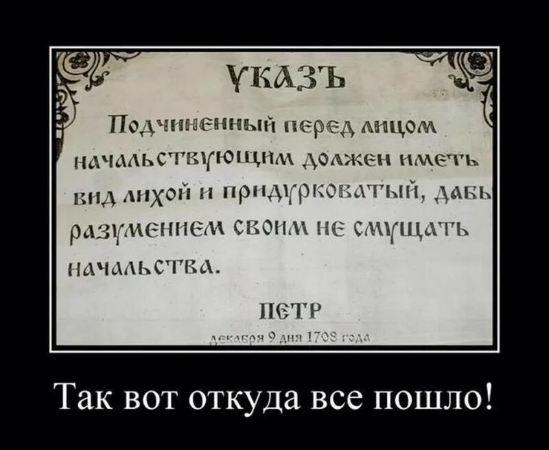 Указ Петра 1 вид лихой и придурковатый. Указ Петра первого про начальство. Указ Петра 1 про вид лихой. Указ петра о подчиненных