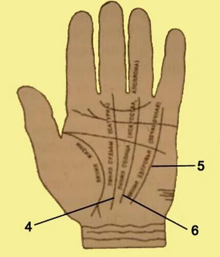 Линия от мизинца. Хиромантия линия венеры. Линия от мизинца. Хиромантия линия любви на руке на ладони. Хиромантия левой руки.