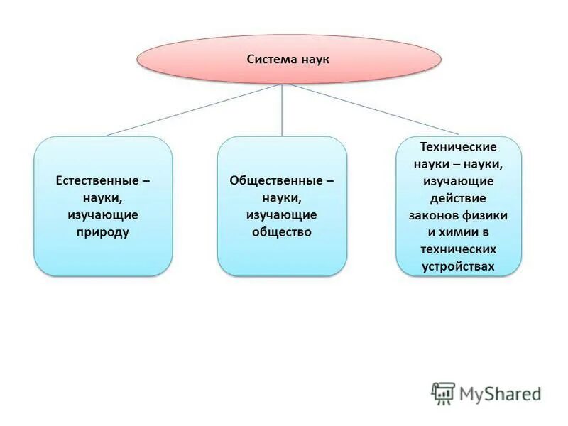 Система наук. Схема система наук. Система естественных наук. Структура естественных наук схема. Естественно научные предметы 7 класс