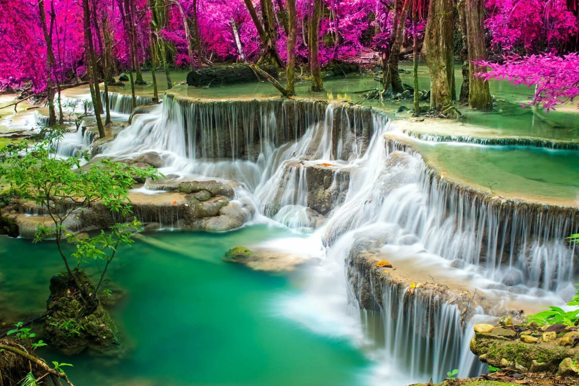Природа. Красивая природа. Живая природа водопады. Красивая вода. Прекрасный водопад