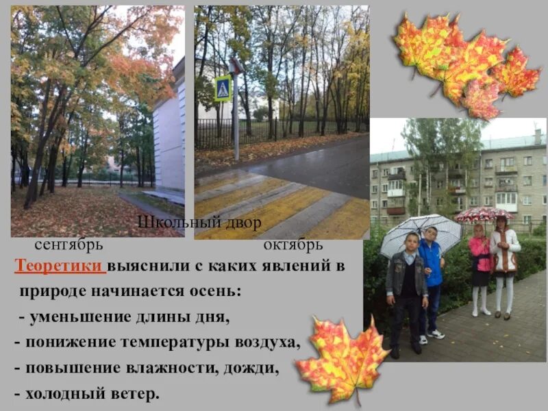 Какие есть осенние явления. Осенние явления в жизни растений родного края. сообщение на тему осенние явления в природе. доклад на тему осенние явления в жизни растений. проект про осень 5 класс по биологии.