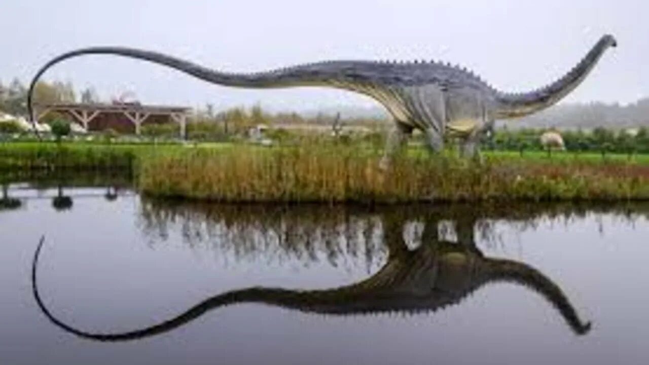 Какой динозавр был самым крупным 8 букв. Диплодок. хвост диплодока. диплодок динозавр. диплодок в воде.
