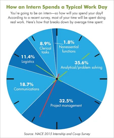 What are the typical. Typical day. cv инфографика. your typical day. typical day infographics.