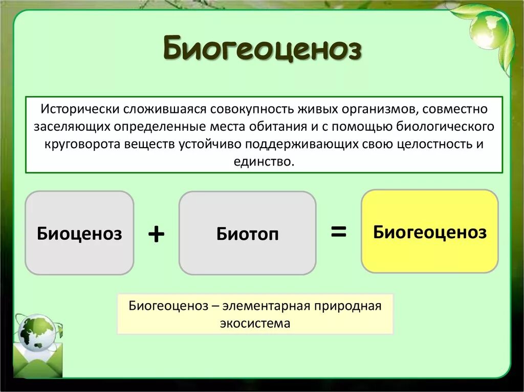 Каковы причины смены биоценозов. Биогеоценоз. Биогеоценоз это в экологии. Экосистема и биогеоценоз. Биогеоценоз определение структура.