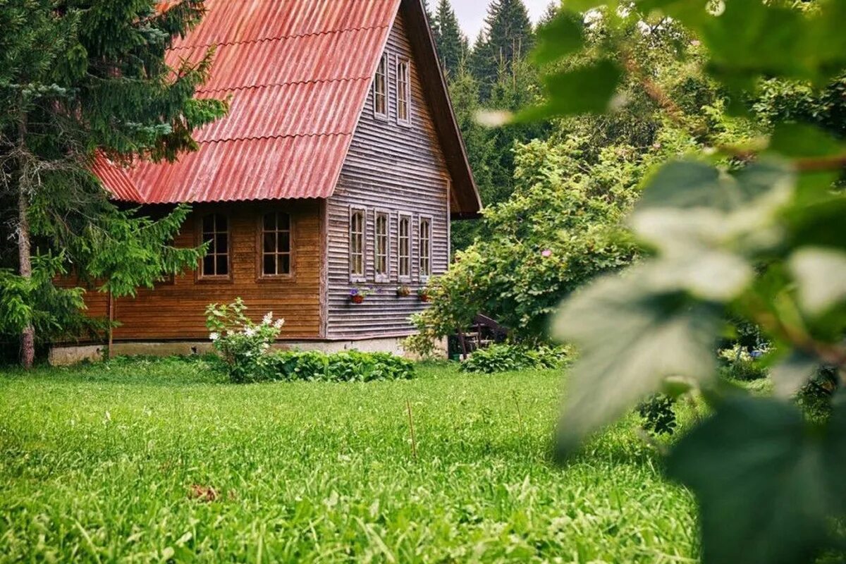 Дача рб. Дачная амнистия. дача россия лето. дачная амнистия картинки. дачный участок фотобанк.