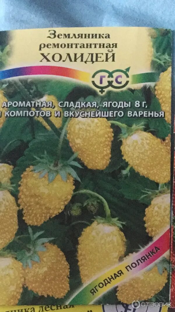 Семена земляники ремонтантной Холидей, "Гавриш" отзывы