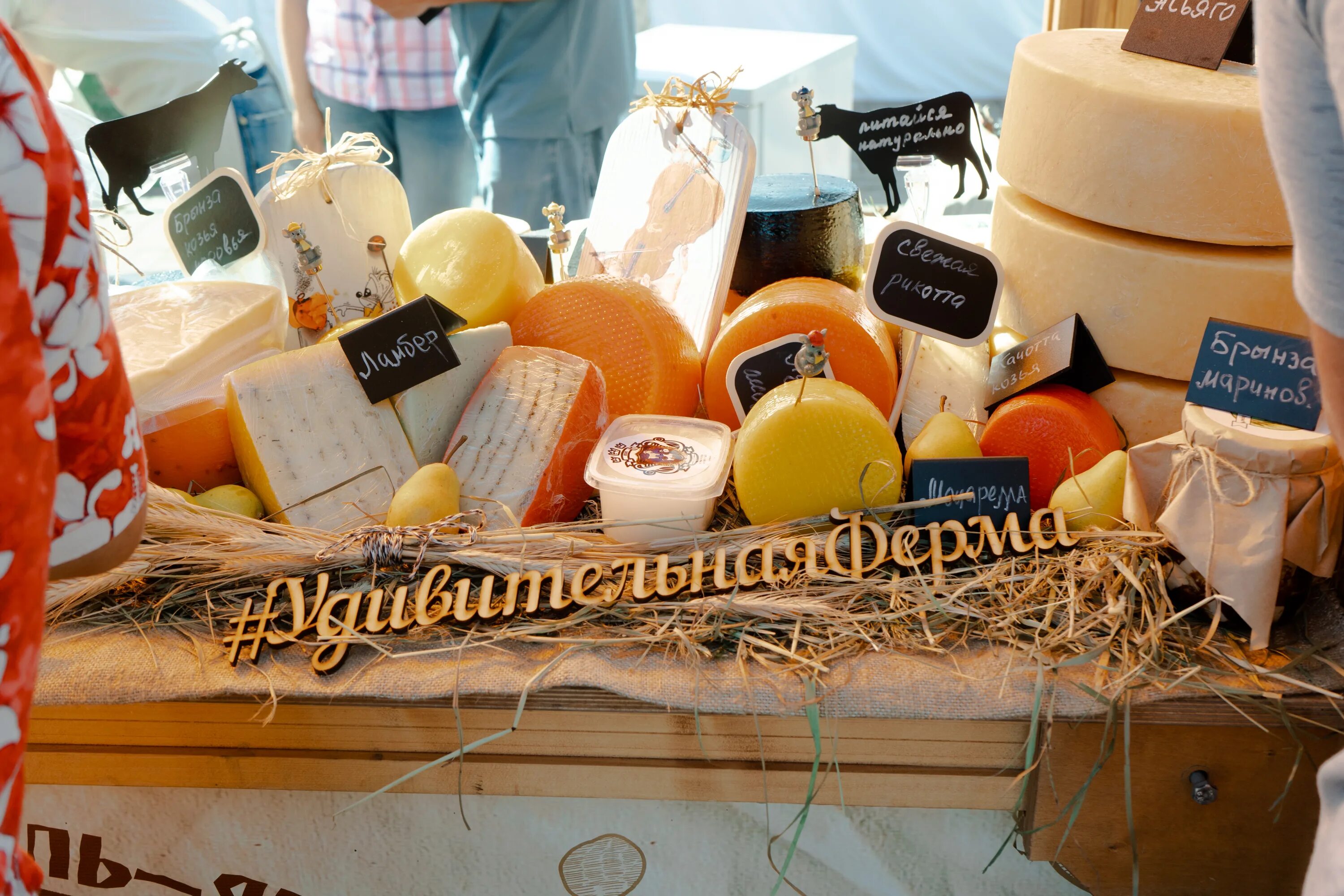 сыры деревня сыроваров. сыр деревенька. приглашаем на праздник. частная сыроварня логотип. сыр новая деревня.