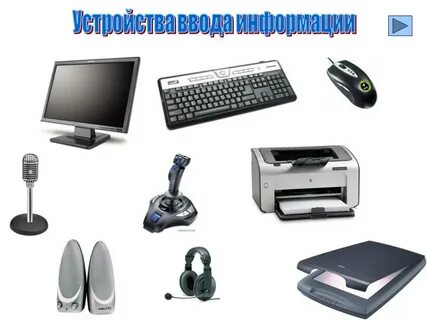 Укажите устройства ввода информации монитор
