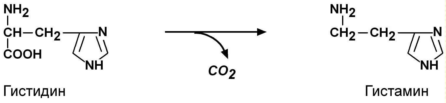 Гистамин из гистидина. Гистидин классификация. Гистидин мазь. Гистидин строение. Х o o 9 9 o