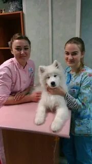 Кот матроскин нижний новгород