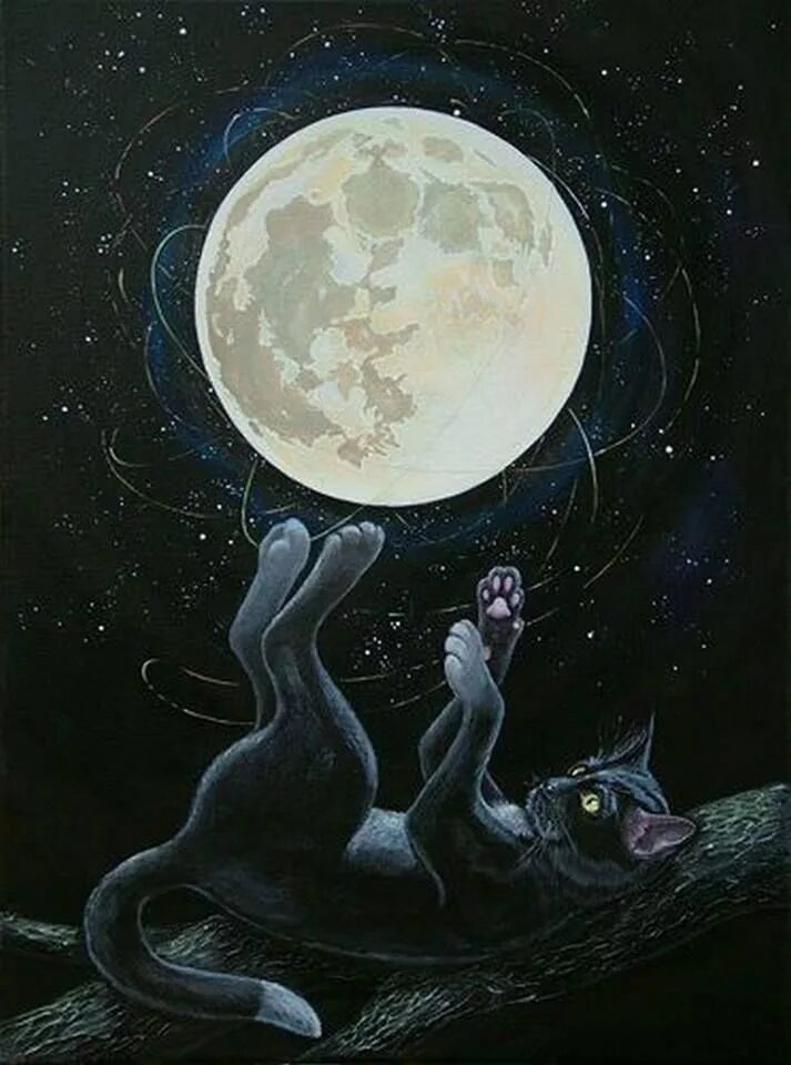 Emrys and the Moon by Nhaar Cats illustration, Cat art, Cats
