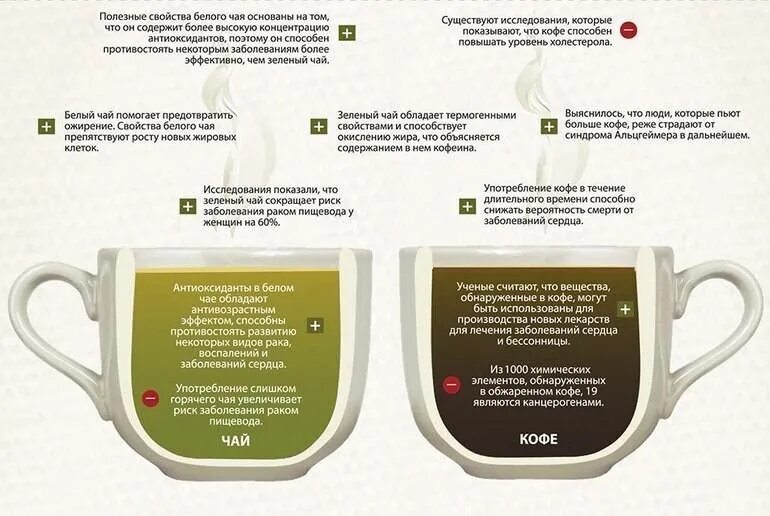 Инфографика чай и кофе. Сравнение чая и кофе инфографика. Инфографика чай. Чай лучше кофе. Сильнее кофеина