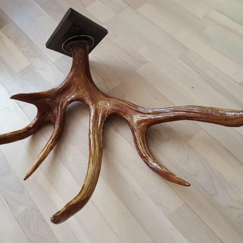 рога лося металлические. лось с крупными рогами. лосиный рог в разрезе. старые рога лося. рога лося.