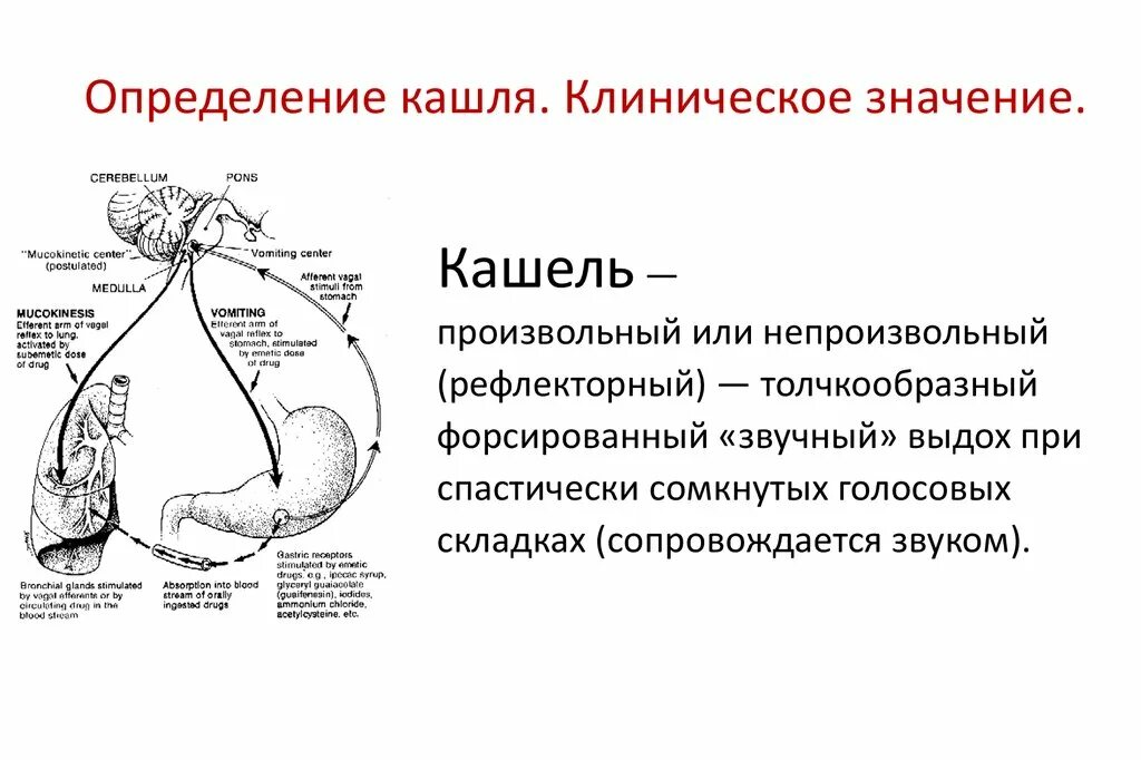 Механизм развития кашля. Механизм кашля физиология. Процесс кашля схема. Физиология кашля механизм кашля. Этапы рефлекторного кашля