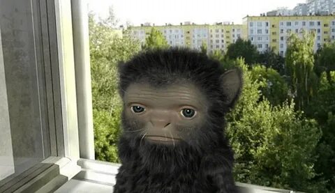 Домовой лучше домой