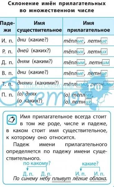 Склонение имени прилагательного во множественном числе. Склонение имен прилагательных во множественном. Склонение имен прилагательных во множественном числе. Склонение имён прилагательных во мнножественном числе.