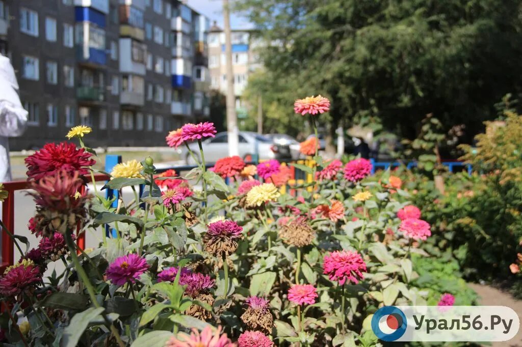 Башкирский дворик салават. Парковая 25 кемерово металлплощадка. Любимый дворик салават. Башкирские дворики. Праздник двора в салавате.