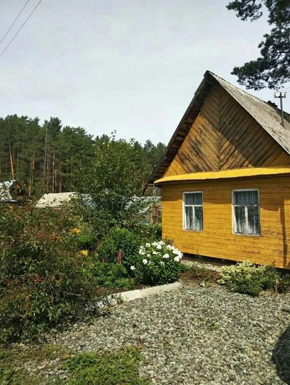 Дача в коллективном саду. Авито первоуральск дач. Коллективный сад 16 первоуральск. Дача в первоуральске. Садовый участок первоуральск с домом.