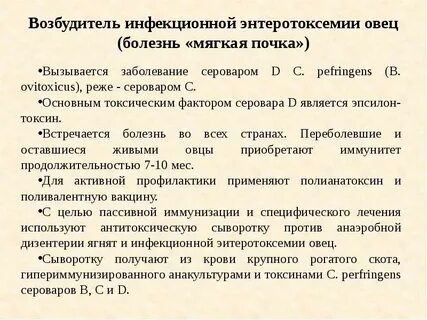 6 возбудитель
