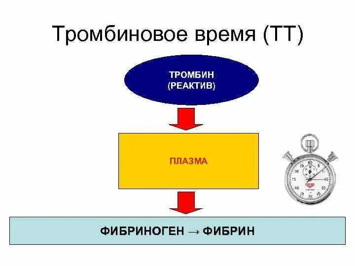 Тромбированное время. Тромбиновое время. тромбиновое время методика. метод определения тромбинового времени. определение тромбинового времени используется для.