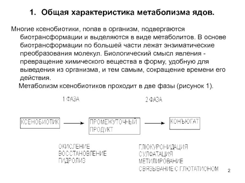 Общая схема процесса биотрансформации ксенобиотиков Вторая фаза метаболизма ксенобиотиков и эндогенных соединений презентация, док