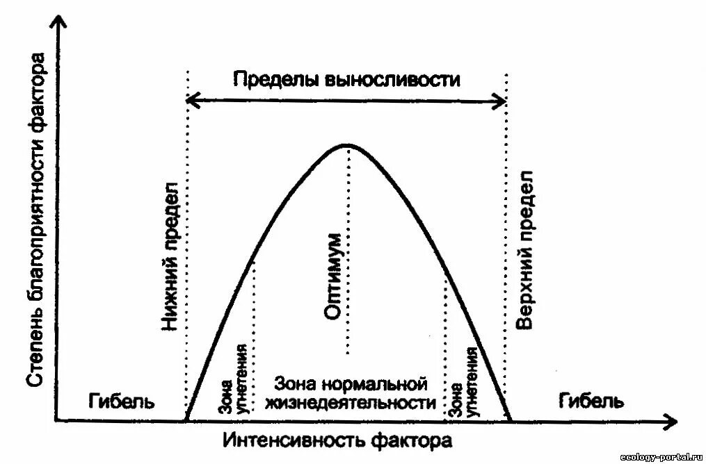 Диапазон выносливости это. Общие закономерности воздействия факторов на живые организмы. Интенсивность действие экологических факторов (схема). Зависимость действия экологического фактора от его интенсивности. Интенсивность действия факторов среды схема.