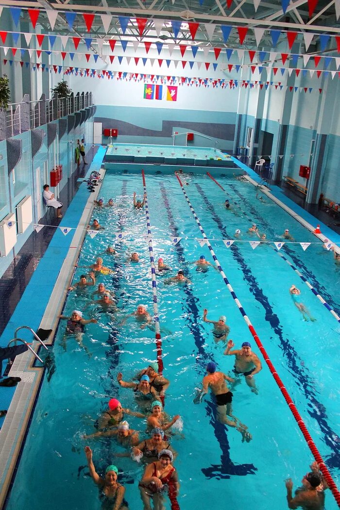 Бассейн дельфин соликамск расписание. Бассейн на зорге новосибирск. Расписание бассейна дельфин. Дельфин бассейн курган расписание. Дельфин бассейн курган расписание.