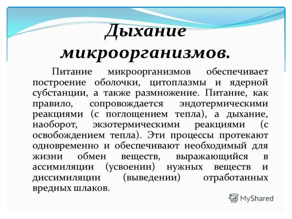 Питание и дыхание бактерий. Питание и дыхание бактерий микробиология. дыхание бактерий микробиология кратко. дыхание микроорганизмов микробиология кратко. питание микроорганизмов микробиология.