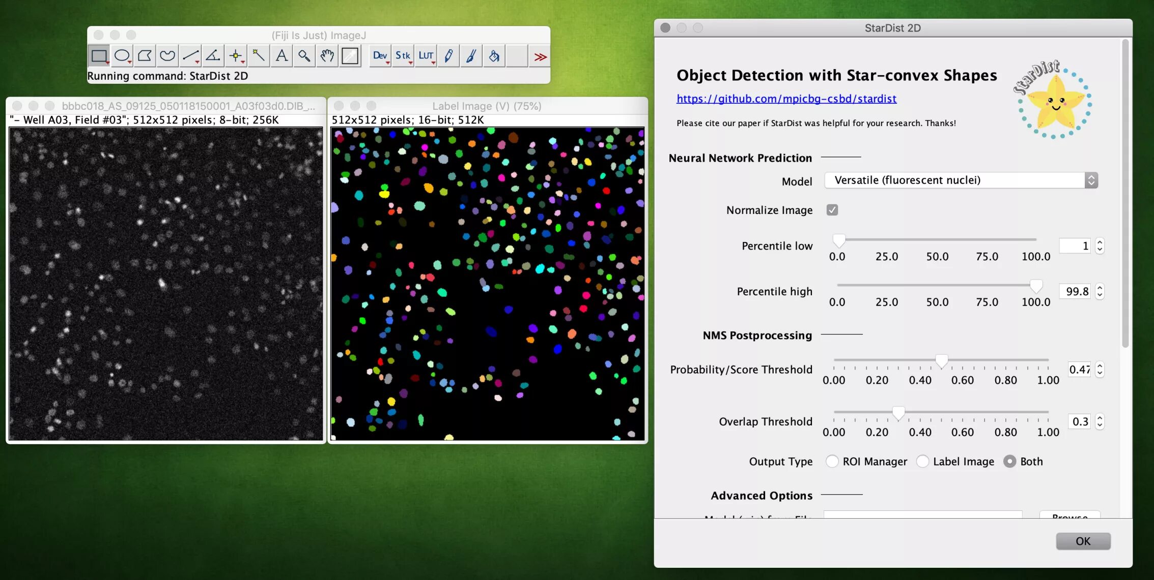 Программа imagej. Imagej программа. fiji imagej. фиджи программа. распределение по размерам imagej.