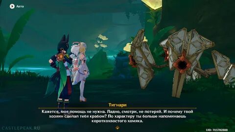 Тигнари сборка