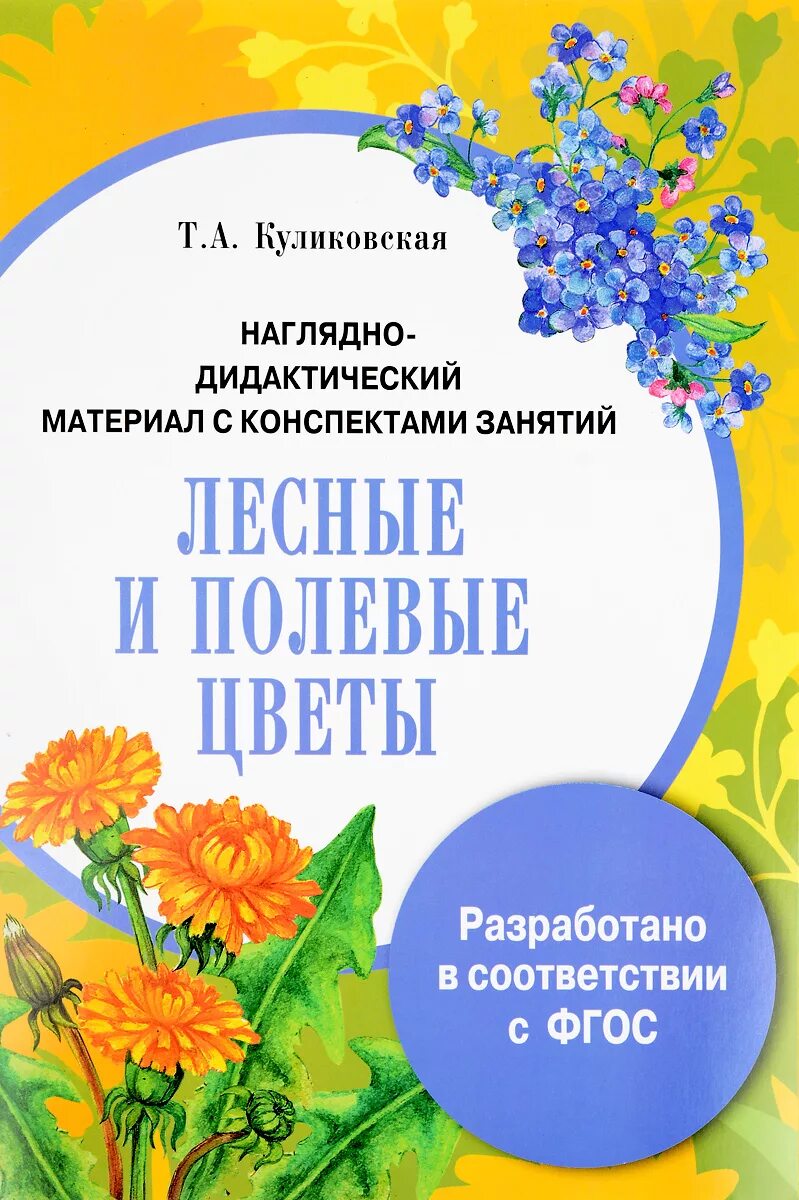 Цветы по фгос в старшей. Название комнатных цветов в детский сад. Комнатные растения разрешенные в детском саду. Комнатные растения в старшей группе детского сада. Лексическая тема: цветы садовые луговые.