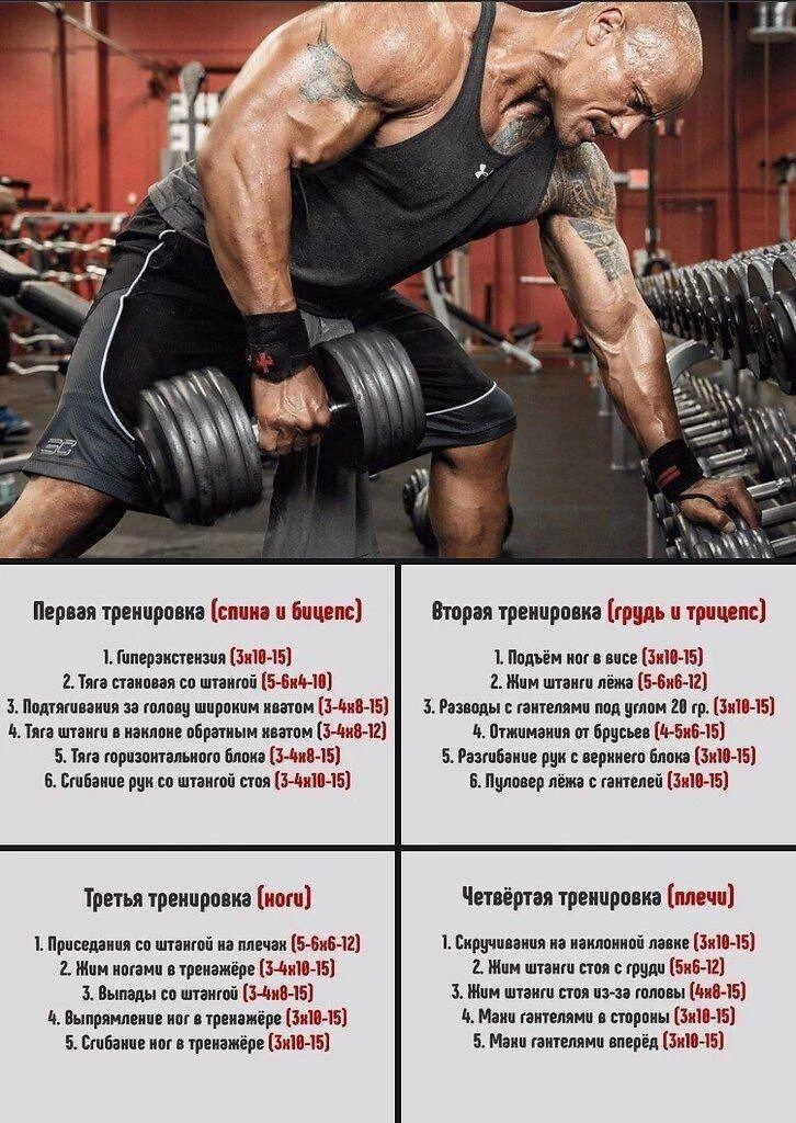 Тренажерный зал раз в неделю программа. Программа тренировок. программа тренировок в зале. программа тренировок в тренажерном зале. программа тренировок на массу.