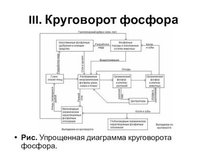 Замкнутый круговорот 4