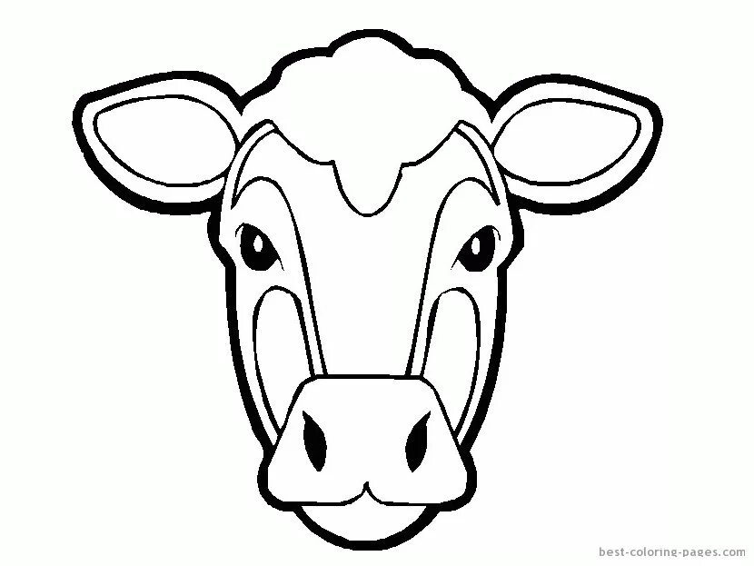Маска коровка. Раскраска корова. Мордочка коровы. Корова раскраска для детей. Голова коровы раскраска.