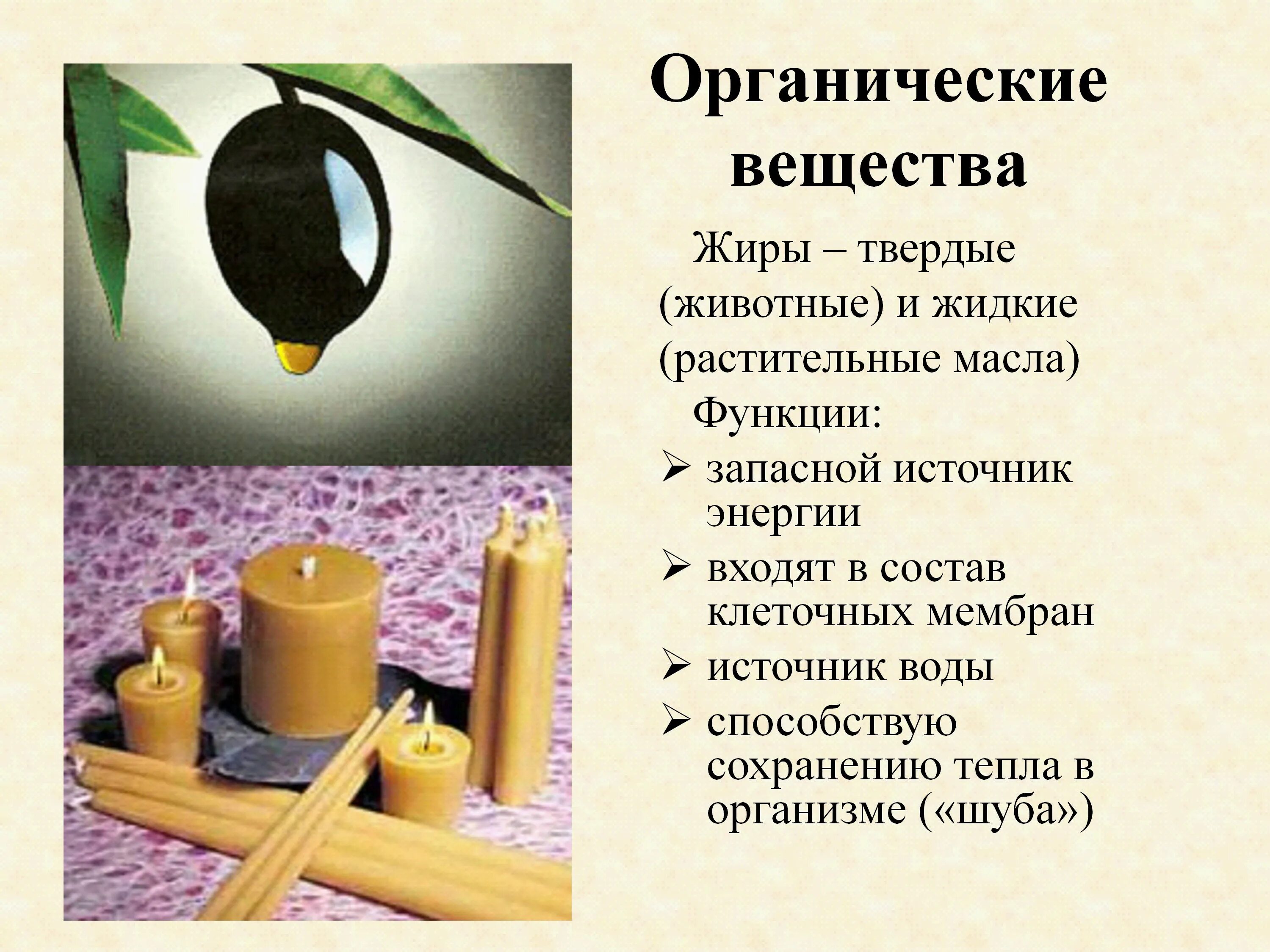 Номенклатура циклических соединений. Неорганические соединения примеры химия. Биологические соединения. Биологические и органические вещества разница. Из чего состоят органические вещества.