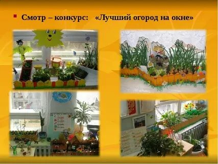 Смотр конкурс лучший