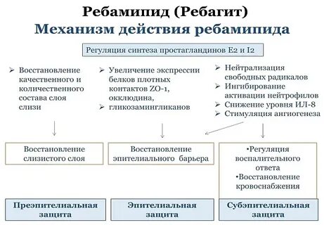 Ребагит как принимать взрослым