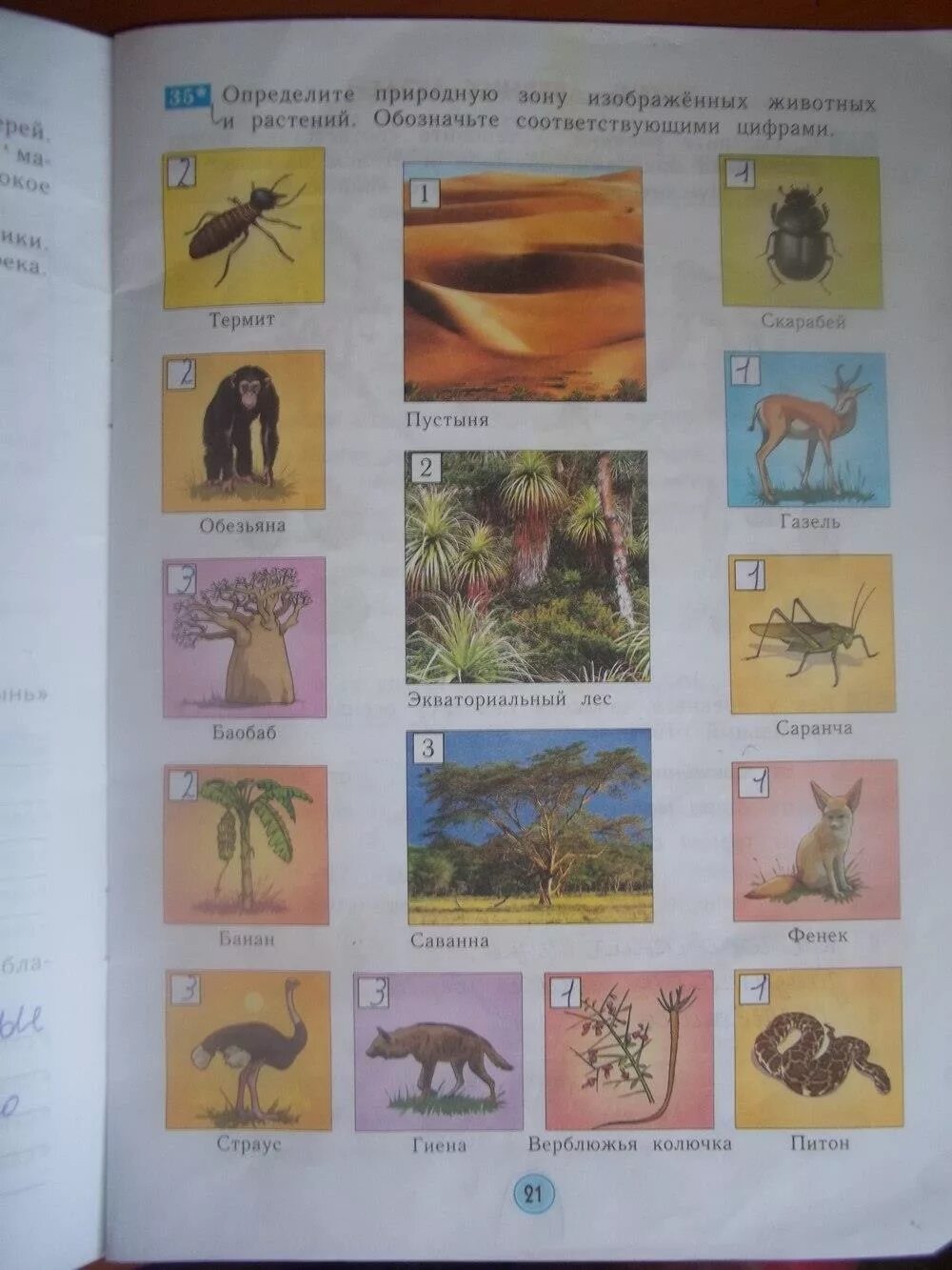 Рабочая тетрадь по окружающему миру 3 класс плешаков. Окружающий мир 4 класс плешаков рабочая тетрадь 2 часть стр 21 задание 3. Гдз окружающий мир 3 класс рабочая тетрадь 2 часть. Окружающий мир 3 класс страница 21. Гдз по окружающему миру 3 класс рабочая тетрадь 1 часть наше питание.