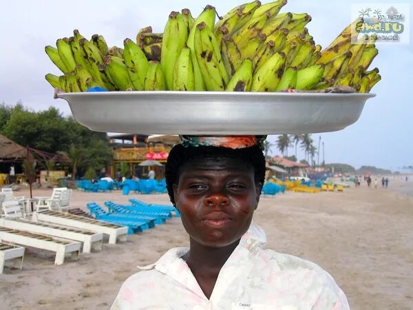 гигантский банан. ветка бананов. город банан. бананы в ящике. бананы латинская америка.